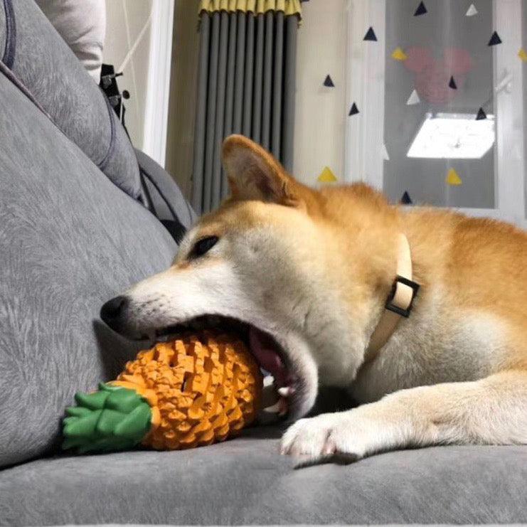 Fruit-Shaped Squeaky Dog Chew Toy