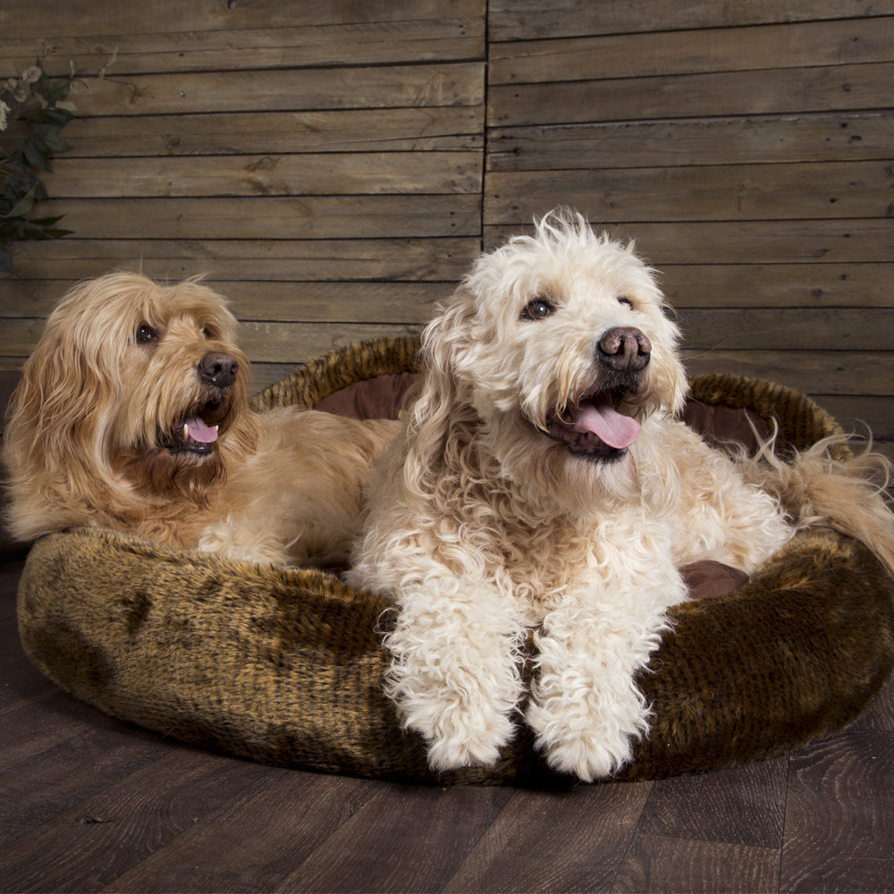Cub Bear Dog Bed (in Beige or Brown) by Scruffs