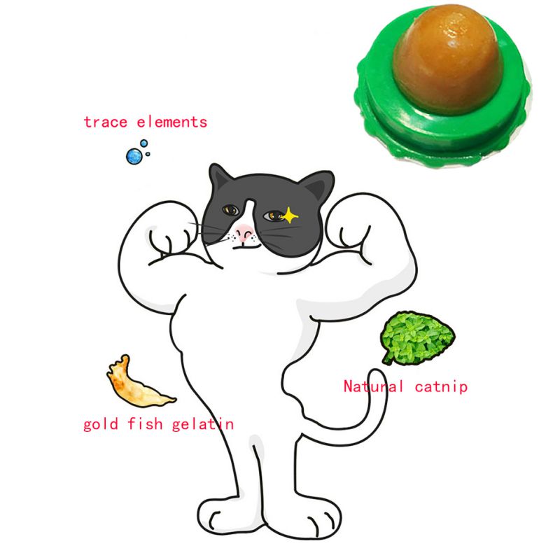 Catnip Energy Ball Lick Toy