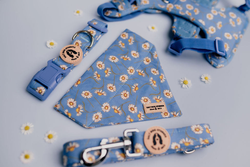 Daisy Daisy Dog Lead