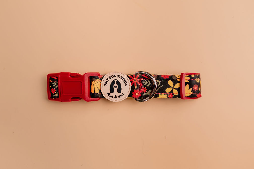 Folksy Flowers Dog Collar