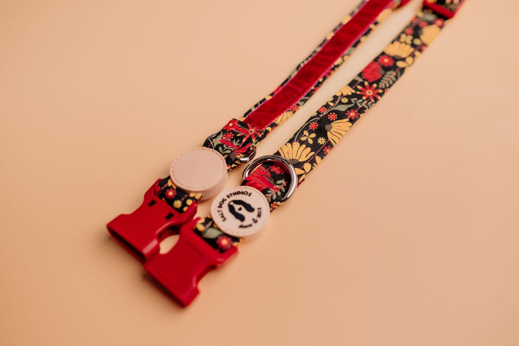 Folksy Flowers Dog Collar