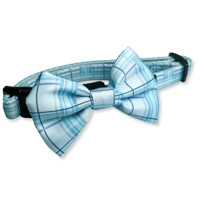 Oxford "Oasis" Adjustable Dog Collar – by Flossie & Floof
