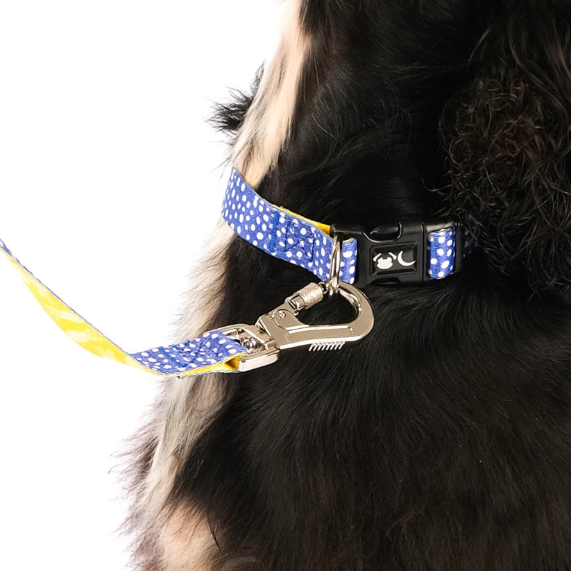 The Minnie Dog Lead - by Neon Moon Pet Boutique