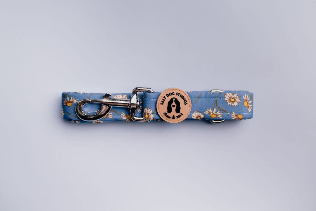 Daisy Daisy Dog Lead