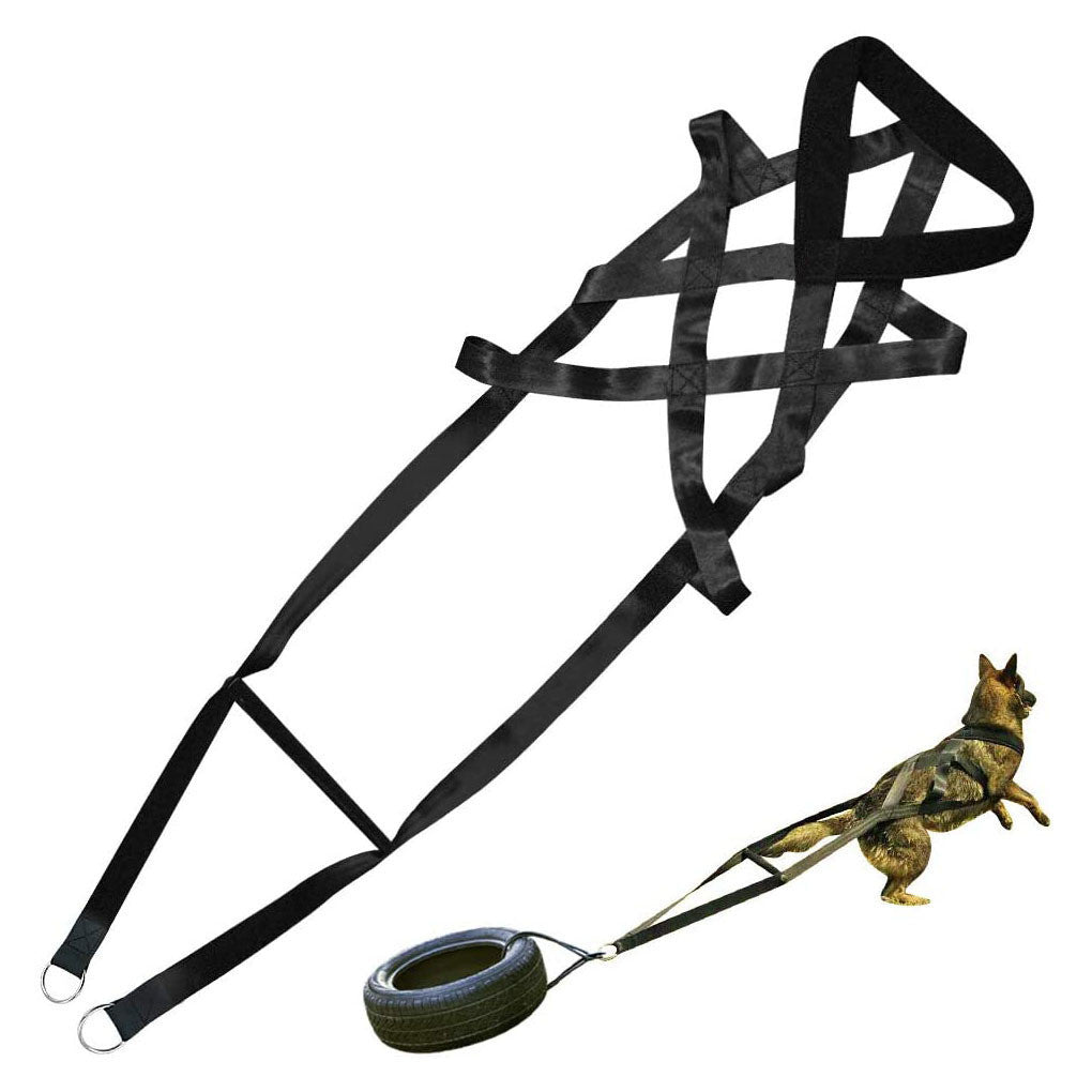 Dog Training Chest Harness & Lead Set