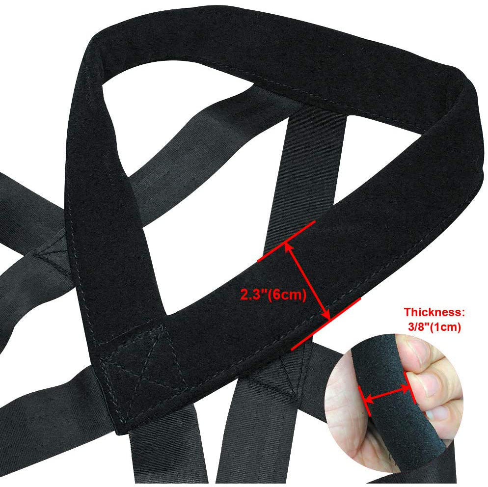 Dog Training Chest Harness & Lead Set