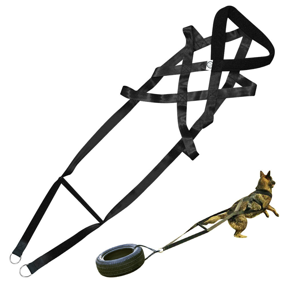 Dog Training Chest Harness & Lead Set