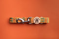 Mountain Aztec Dog Lead