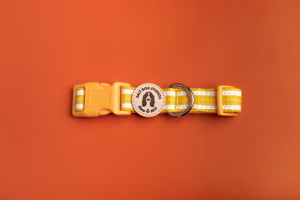 Organic Striped Sunflower Yellow Hemp Dog Collar