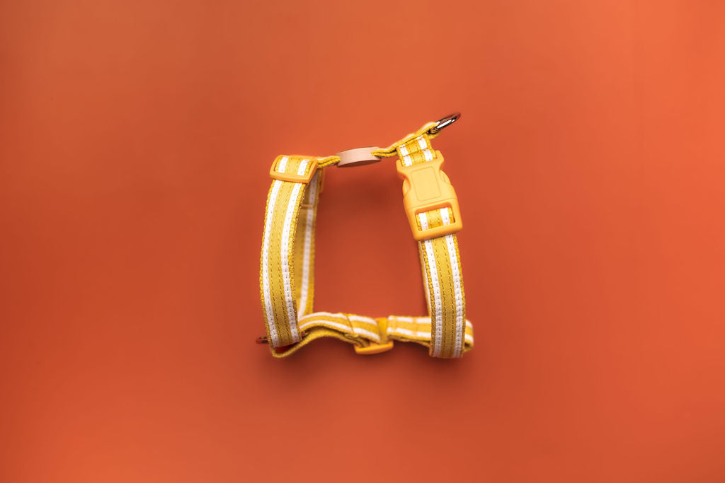 Organic Striped Sunflower Yellow Hemp Dog Harness